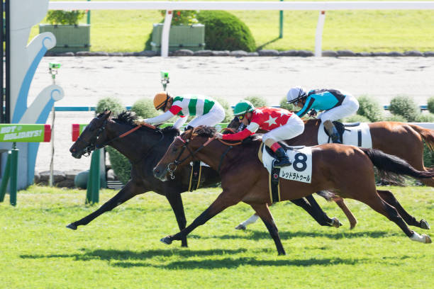 地方競馬の未来を担う若手ジョッキー選手たちの挑戦と成長 地方競馬 ジョッキー 選手