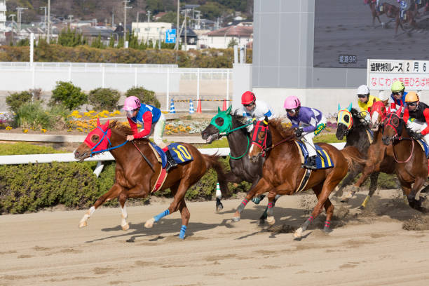 関東地方競馬の新星、注目の競走馬たちが熱戦を繰り広げる！ 地方競馬 関東 競走馬