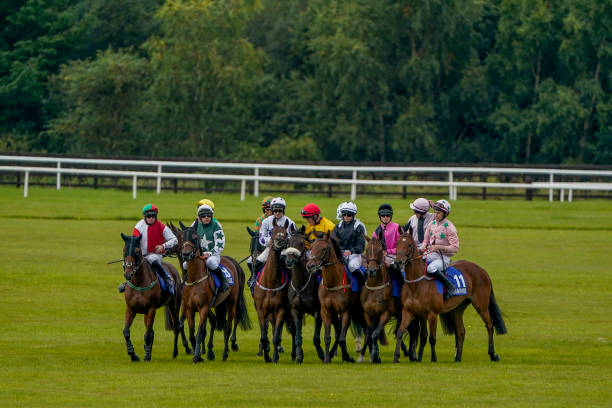 競馬の未来を切り開く新たな改革案が浮上 競馬 改造