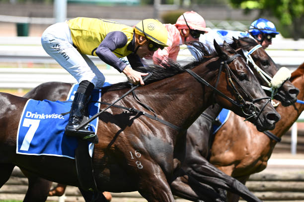 日本競馬界の頂点を決める！注目のg1 競馬レースが迫る g1 競馬