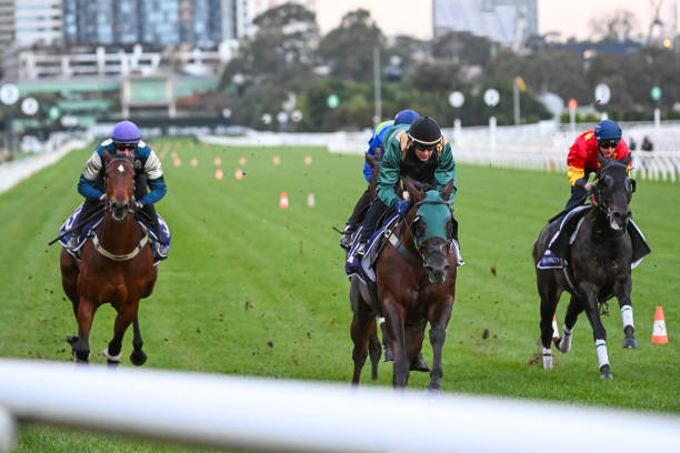 競馬ファン必見！インターネットで楽しむ新たな競馬体験とその魅力とは？ 競馬 インターネット