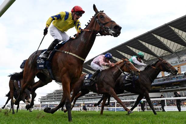 競馬ファン熱狂！天皇賞の歴史と注目馬を徹底解説 競馬 天皇 賞