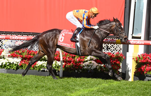 地方競馬の熱気再燃！新たなシーズン開幕に期待高まる 地方競馬 シーズン開幕