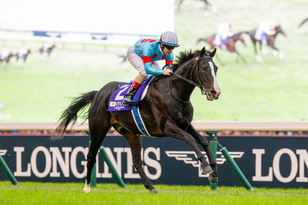 地方競馬の熱気再燃！新たなシーズン開幕に期待高まる 地方競馬 シーズン開幕