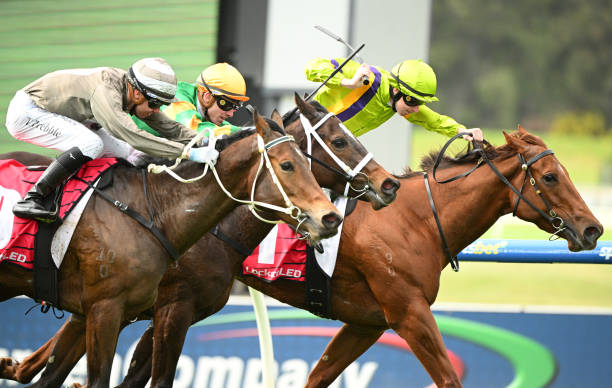 地方競馬 サイトの最新情報と注目レースを徹底解説！ 地方競馬 サイト