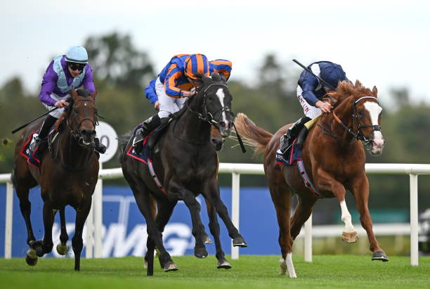 競馬界の未来を担う若手騎手たちが集結！新たな才能を発掘する競馬 ドラフト 競馬 ドラフト