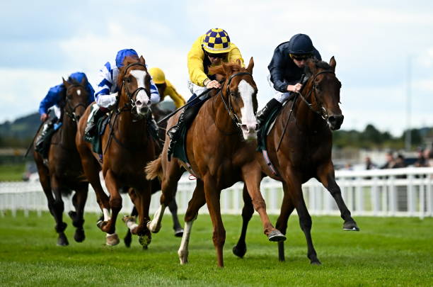 競馬界の頂点を目指す熱き戦い！注目の競馬 トップバトルが始まる！ 競馬 トップバトル