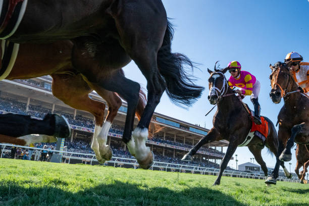 中山競馬場での新たな競馬シーズンが開幕！ファン待望のレースが続々と開催予定 中山競馬場