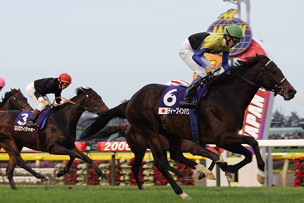 地方競馬 トレーニングセンターの新設が地域経済に与える影響と期待 地方競馬 トレーニングセンター